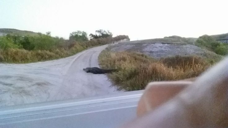 17632168_10113357157770644_1527585595523330307_o